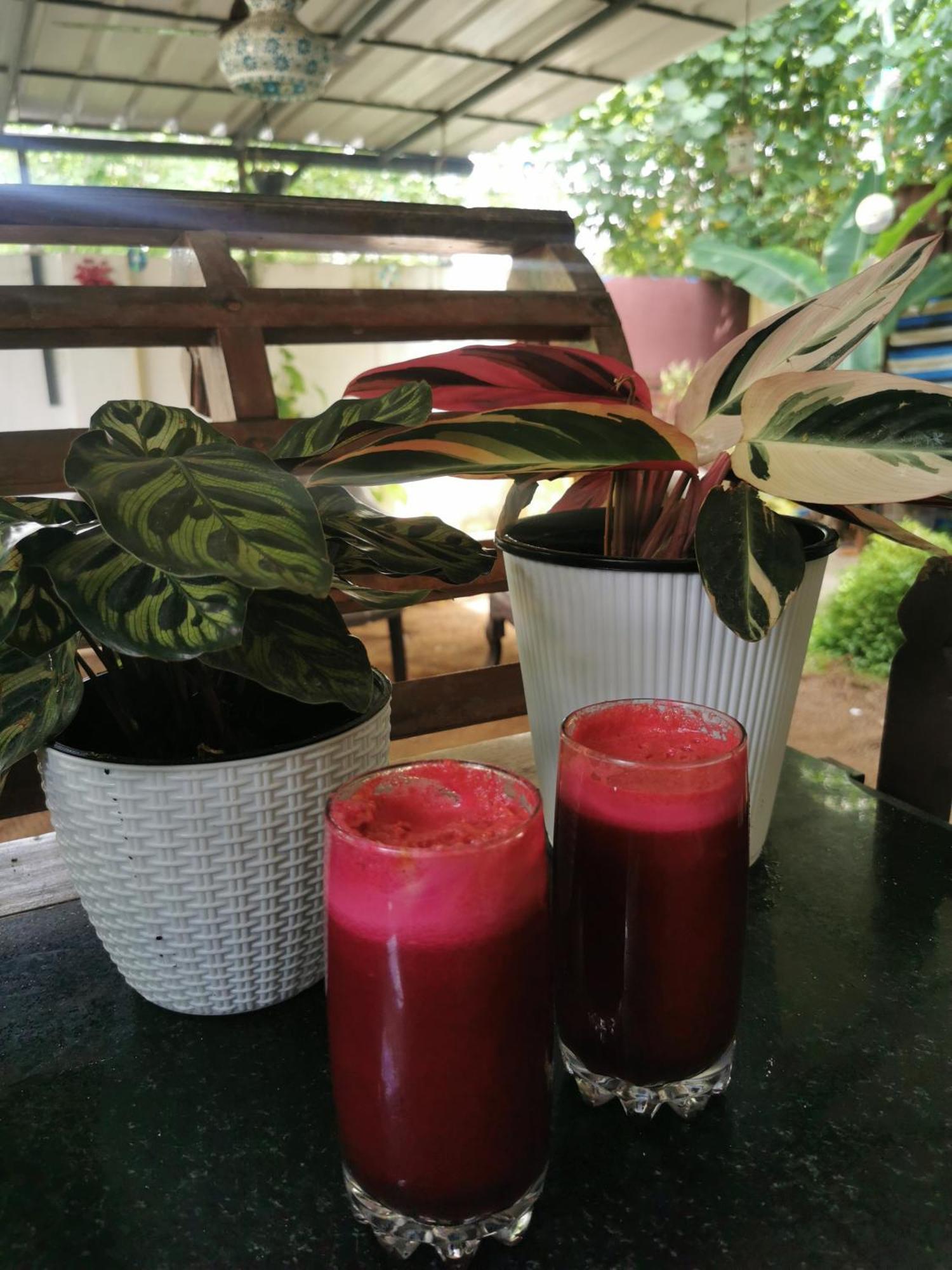 Jeehaa Homestay Alappuzha Esterno foto