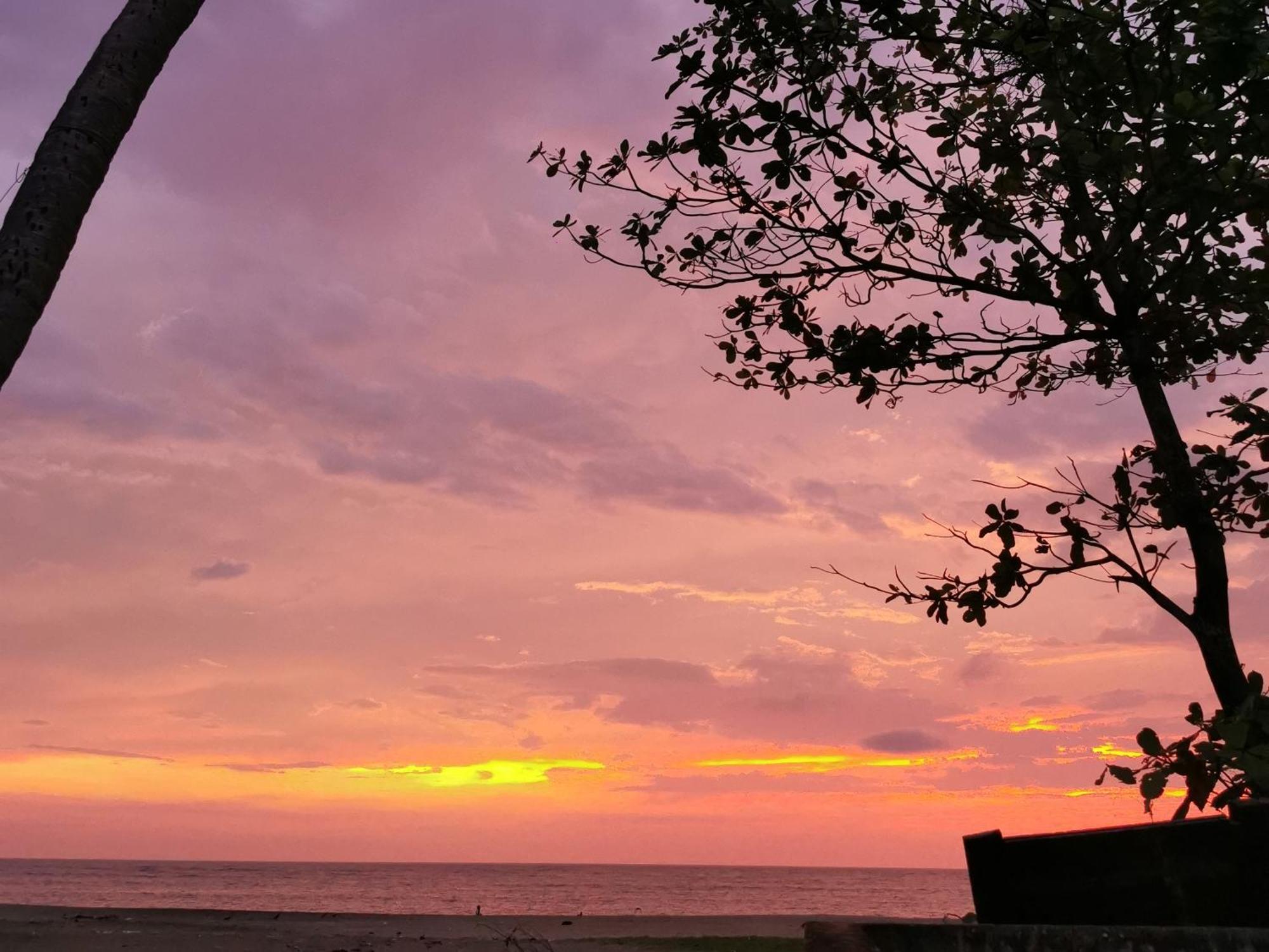 Jeehaa Homestay Alappuzha Esterno foto