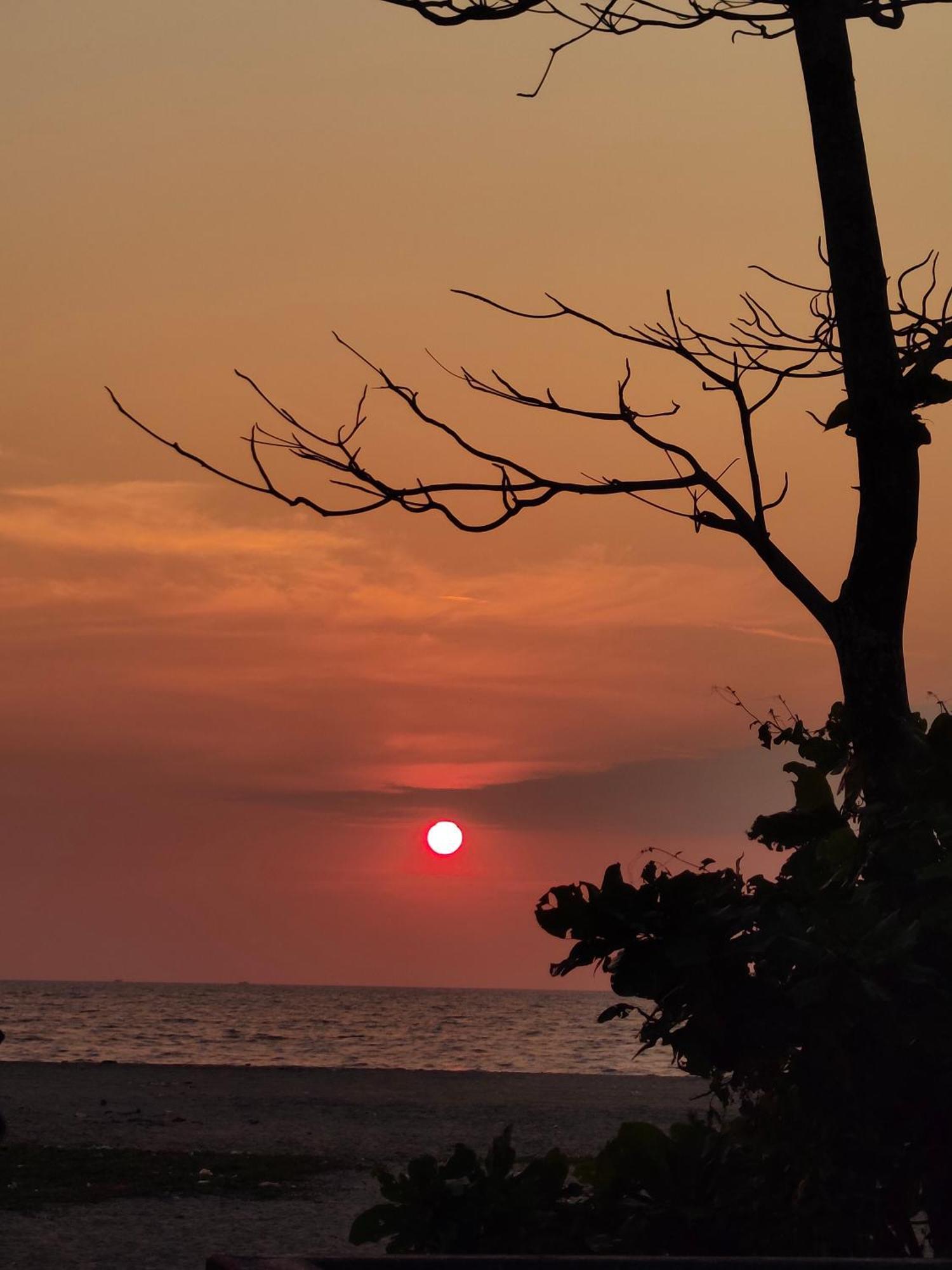 Jeehaa Homestay Alappuzha Esterno foto